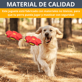 Juguetes para perros Platillo volador Bola UFO