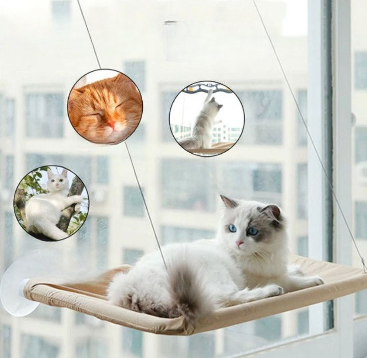 Cama para gatos con ventana y ventosas: gran comodidad para tu felino