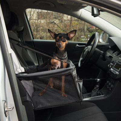 Asiento de coche para perros