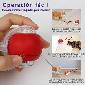 Pelota Divertida para Gatos - Rebote y Persecución